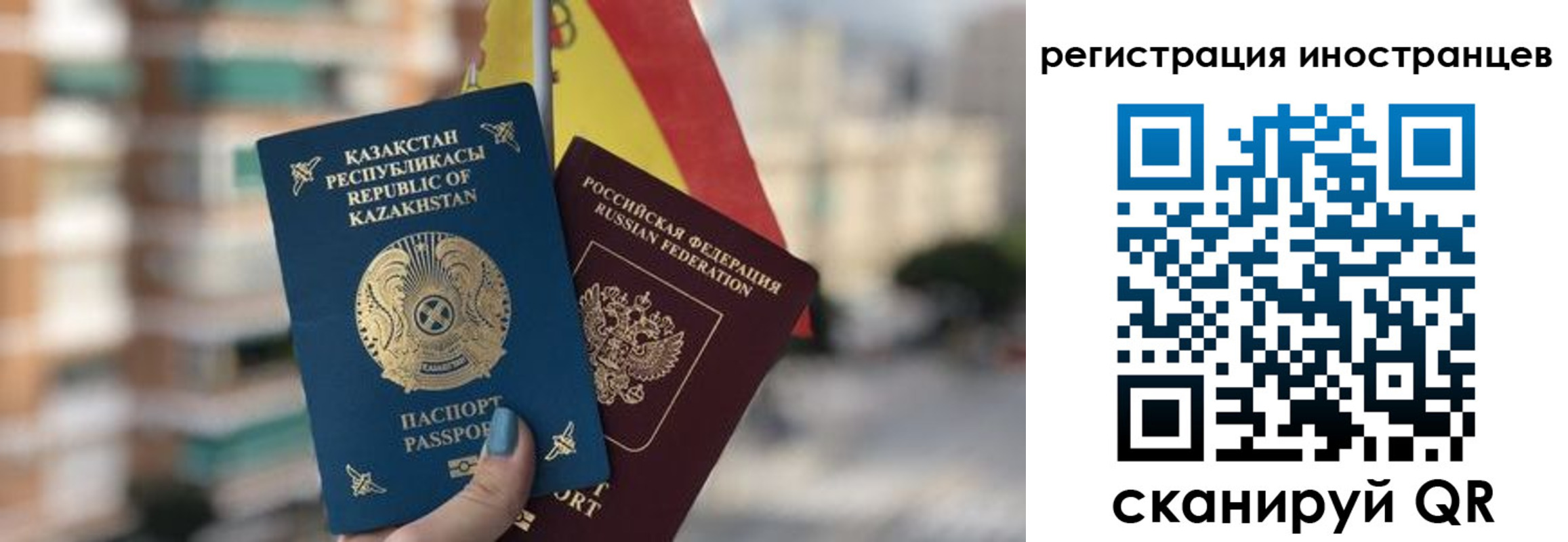 прописка паспорт в Красном Куте